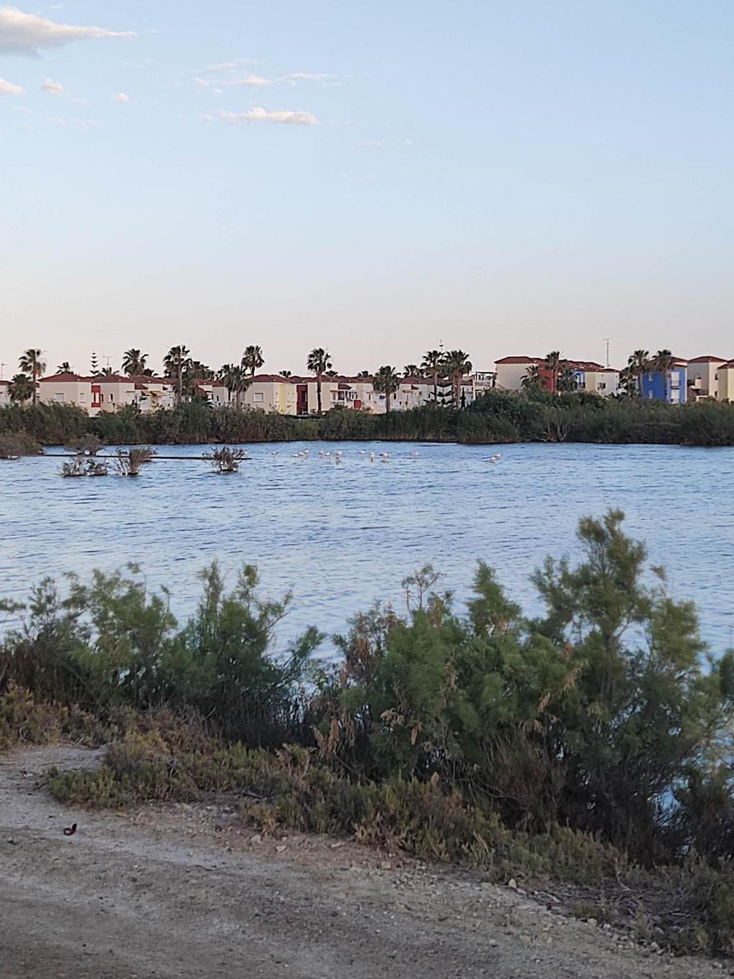 El Mirador De Torremari - Nudista - Vera Playa Екстериор снимка